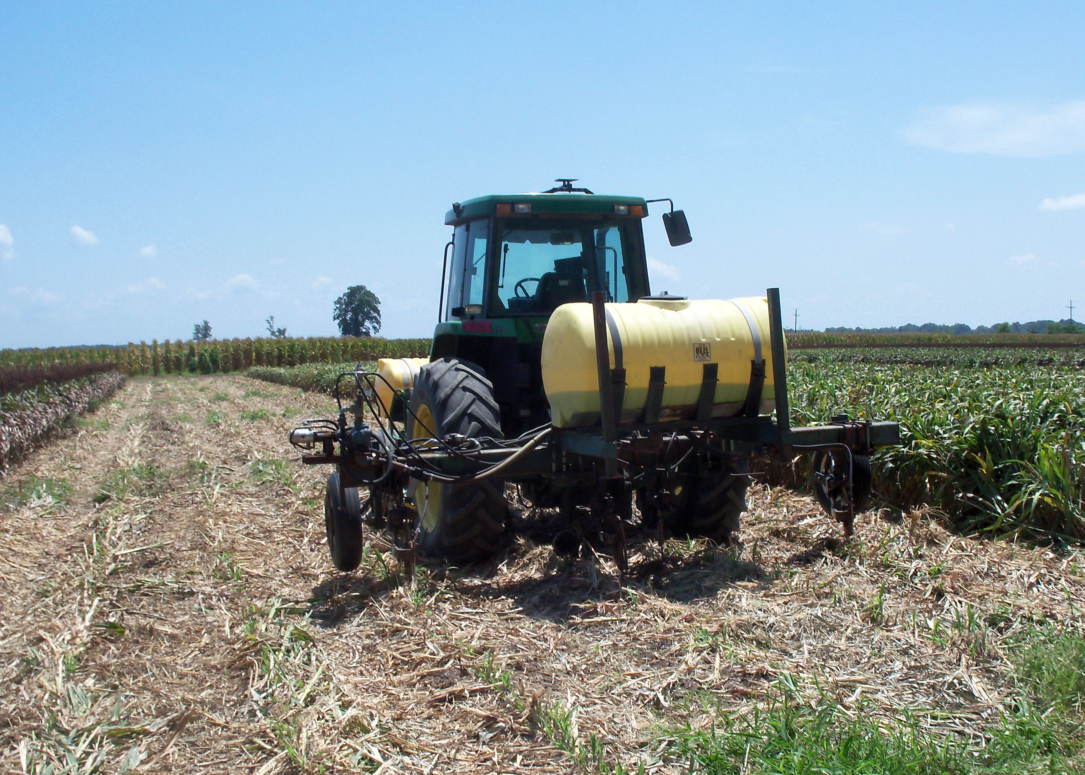 Feasibility of Grain Sorghum Ratoon Cropping in North Louisiana